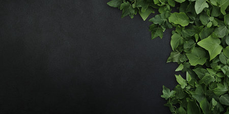 Elegant banner featuring contrasting empty space surrounded by lush ivy garlandsの写真素材