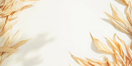 Dried corn husks frame an empty space for creative use in autumn decoration or agricultural themesの写真素材