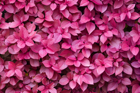 A vibrant texture of pink leaves creating a lush and inviting backdrop for nature-inspired design projectsの写真素材