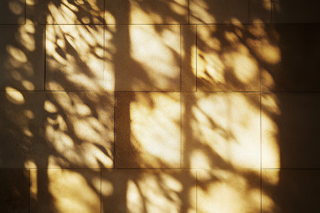 Warm golden light creates a soothing atmosphere with shadows on textured surfaces in a serene...