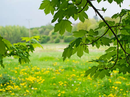 Scenery of Natureの写真素材