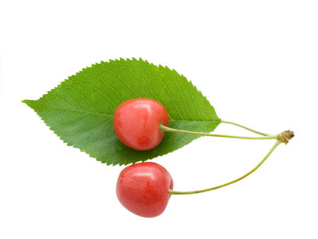 Cherry with a green leaf on white background.