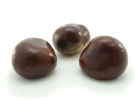 Chestnuts isolated on a white backgroundの写真素材