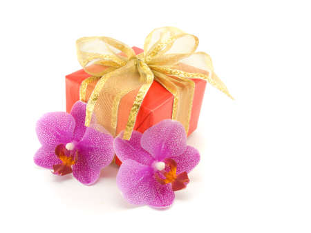 gift box and orchid isolated on white backgroundの写真素材
