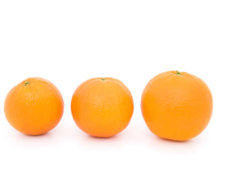 oranges on white background