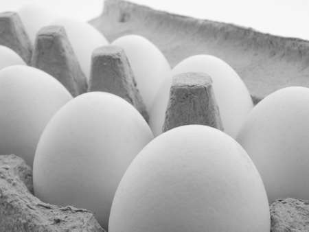 eggs in a carton on white backgroundの写真素材