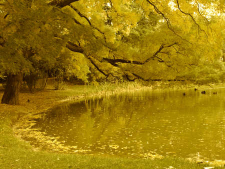 autumn on lake side, beautiful landscapeの写真素材