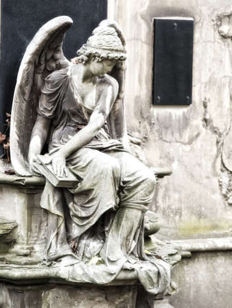 angel statue の写真素材