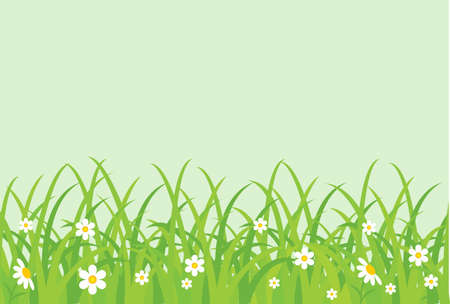 Grassy field. Vector illustration のイラスト素材
