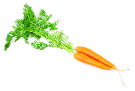 fresh carrot fruits with green leaves, isolated on white background の写真素材