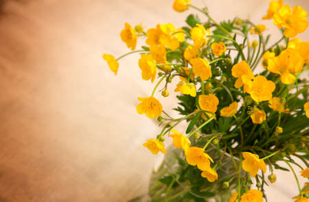 yellow buttercup flowers, with room for textの写真素材