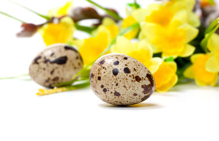 Quail eggs with flowers, isolated on white background の写真素材