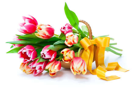 Bunch of red-yellow tulips in a basket on white background,の写真素材