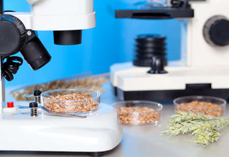 Microbiological Testing for Food Quality