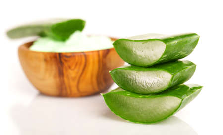 aloe-vera, isolated on white backgroundの写真素材