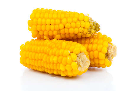 Boiled corn cob on white backgroundの写真素材