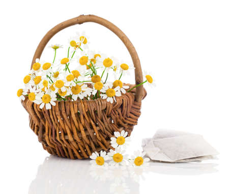 beautiful camomile flowers in basket with tee bag, isolated on white backgroundの写真素材