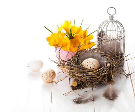 Easter eggs nest with birdcage and yellow Spring Crocus. on white wooden background
