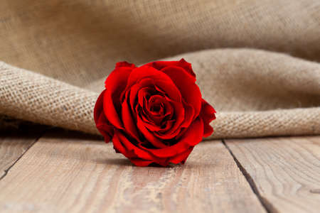 red rose on wooden backgroundの写真素材