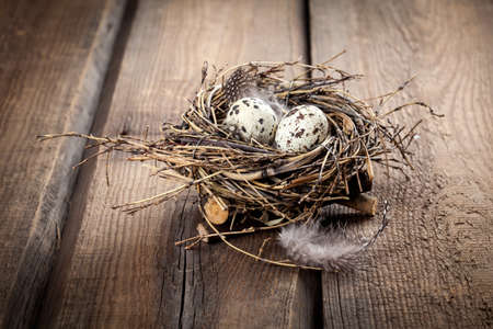 quail eggs in nest on wooden backgroundの写真素材