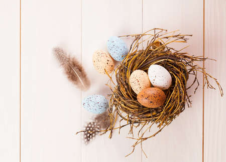 eggs in nest on wooden background