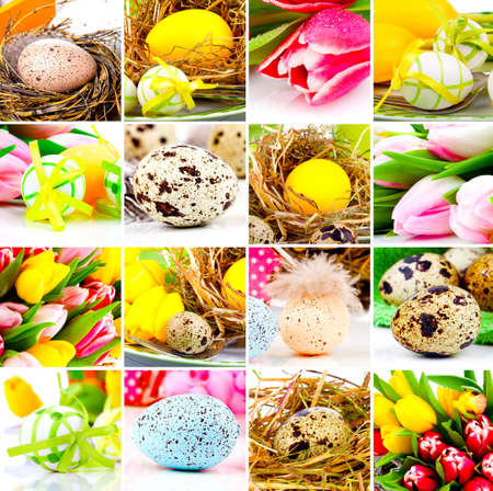 Easter collage. easter eggs and spring flowersの写真素材