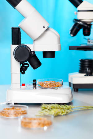 Microbiological Testing for Food Qualityの写真素材