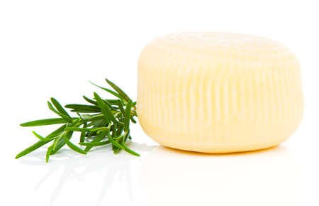 cheese isolated on whiteの写真素材