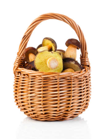 edible mushrooms in a basket on a white backgroundの写真素材