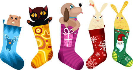  christmas stockingのイラスト素材
