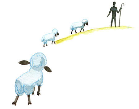 Cute watercolor sheep on a white background.の写真素材