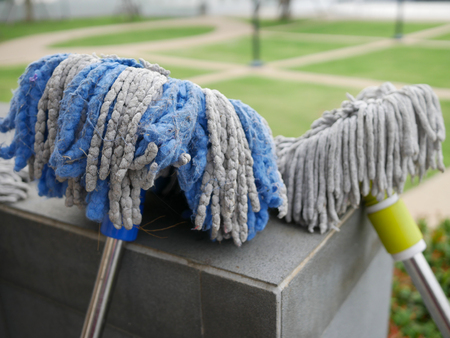 two dirty mobs sun bath from washing clean at outdoor park or garden.の写真素材