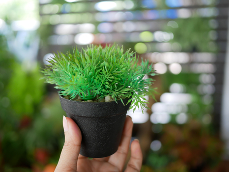 small plastic plant in pot on finger with beautiful bokeh background for decoration to shop or houseの写真素材