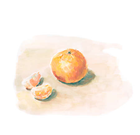 whole orange with slices on the table, illustrationの写真素材