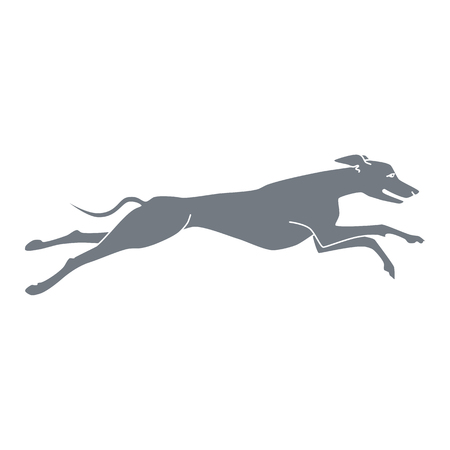 Vector silhouette of running dog whippet breedのイラスト素材