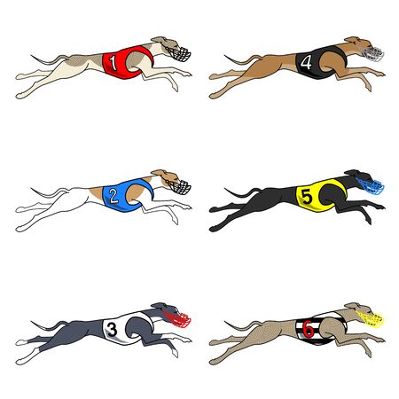 Vector set of running dog saluki breed, in dog racing or coursing dressのイラスト素材