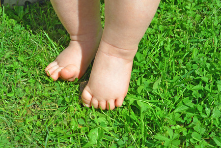 Baby feet on the grass at summerの写真素材