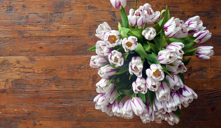 Colorful bouquet of pink and white tulips on a old wooden table. Top view with copy spaceの写真素材