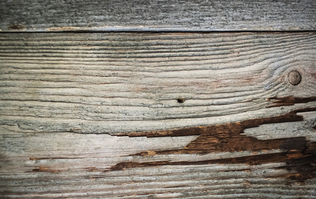 macro view on Old gray wooden panels, background photo textureの写真素材