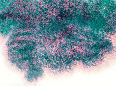 Watercolor abstract color background on textured paper.の写真素材