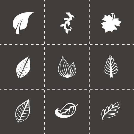 Vector leaf icon set on black backgroundのイラスト素材