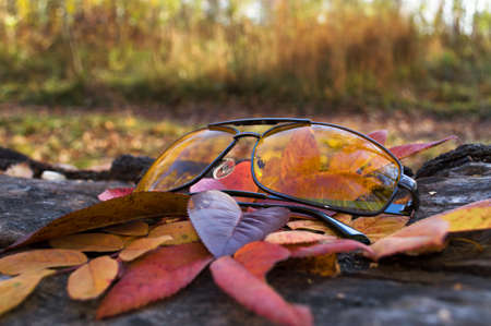 close up view of yellow sunglassesの写真素材