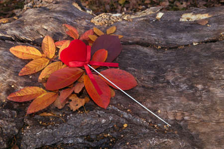 love symbol in autumn leaves with copy spaceの写真素材