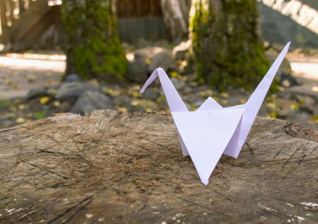 papercraneの写真素材