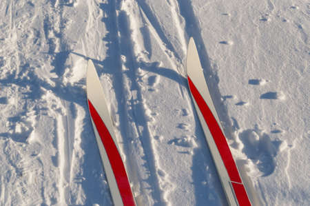 skies on ski track on sunny winter day