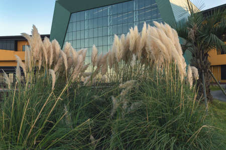 JEJU ISLAND, SOUTH KOREA, SEPTEMBER 09, 2015: Hanwha aqua planet aquarium buildingのeditorial素材