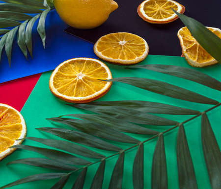 palm leaves and citrus fruits on colorful backgroundの写真素材
