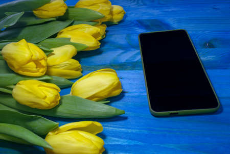 bouquet of yellow tulips and smartphone on blue wooden backgroundの写真素材