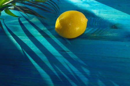 lemon and palm leaf on blue wooden backgroundの写真素材
