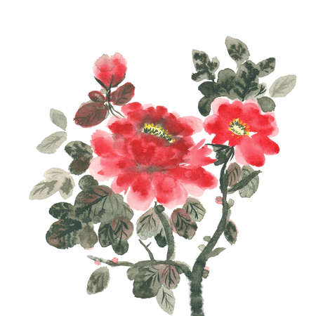 isolated on white watercolor red peony in bloomの写真素材